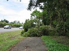 Cairns50 Cyclone Larry